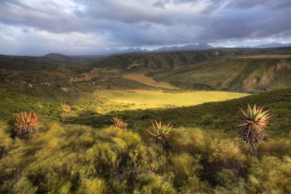 Gondwana Game Reserve Herbertsdale Exterior foto