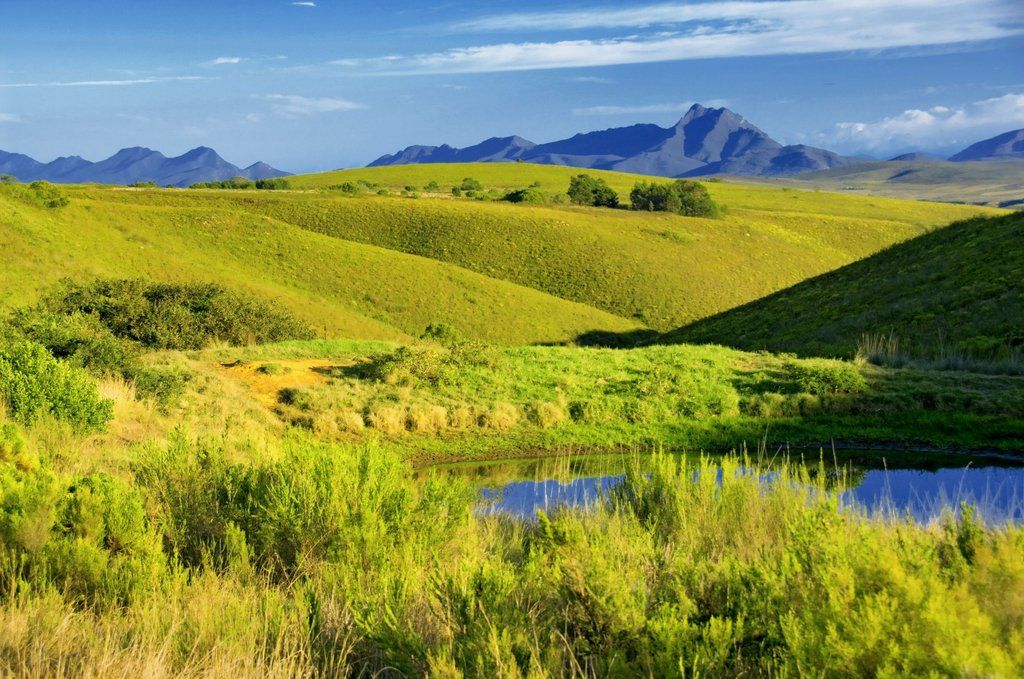 Gondwana Game Reserve Herbertsdale Exterior foto